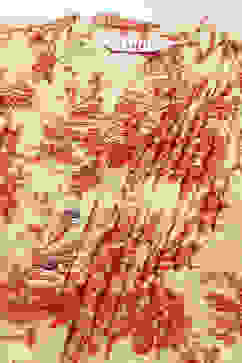 Cream-coloured Georgette Floral Straight Kurta image number 2