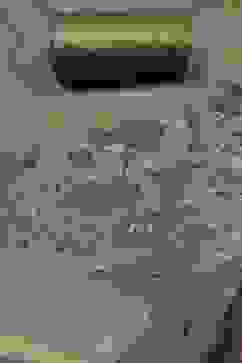 Mehndi Cotton Jamdani Unstitched Suit Set image number 1