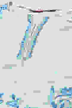 White Cotton Straight Kurti image number 1