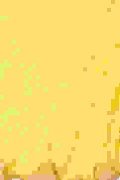 Yellow Straight Kurta Churidar Suit Set image number 3