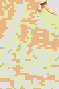 Yellow LIVA Straight Kurta image number 1