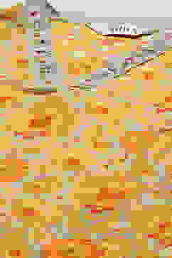 Mango Yellow Viscose Straight Suit Set image number 1