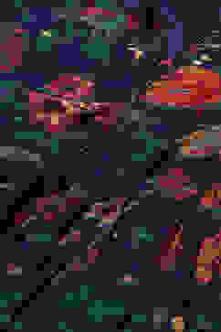 Teal Cotton Flared Printed Dress image number 1