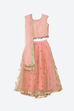 Pink Poly Metallic Cotton Lehenga Set image number 2