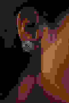 White Brass Studs image number 1