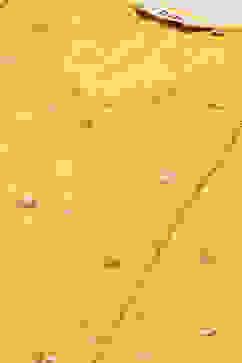 Mango Cotton Blend Kalidar Kurta Palazzo Suit Set image number 2