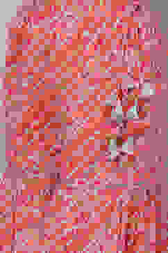 Aqua & Coral Cotton A-Line Kurta Garara Suit Set image number 2