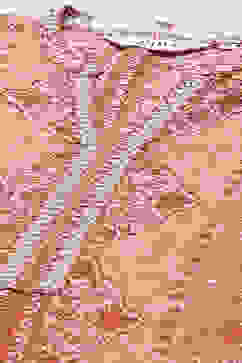 Blush Pink Viscose Straight Kurta image number 1