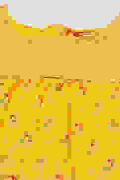 Yellow Cotton Straight Printed Kurta Set image number 1