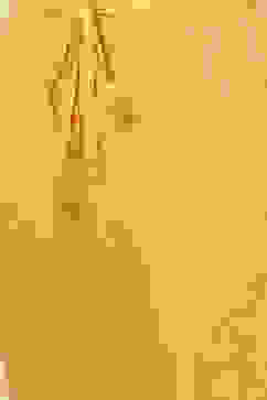 Yellow Art Silk Straight Kurta Regular Pant Suit Set image number 3