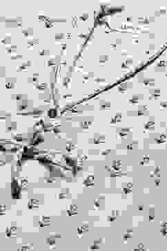 Charcoal Rayon Asymmetric Printed Kurta Set image number 1