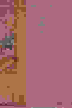 Coral Chanderi Printed Unstitched Suit Set image number 1