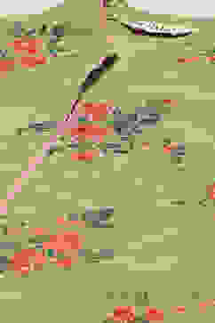 Olive Green Straight Kurta Regular Pants Suit Set image number 1