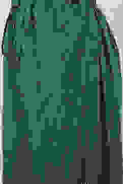 Green Rayon Palazzo image number 1