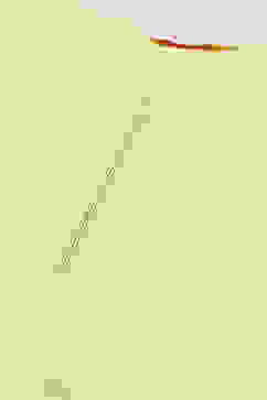 Yellow Art Silk Straight Kurta image number 1