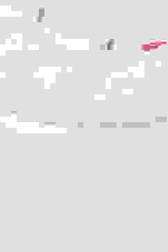 White Sleeveless Top With Schiffli Lace Detail image number 1