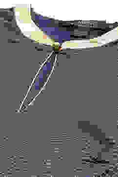 Rohit Bal Navy Blue Chanderi Silk Anarkali Solid Suit Set image number 1