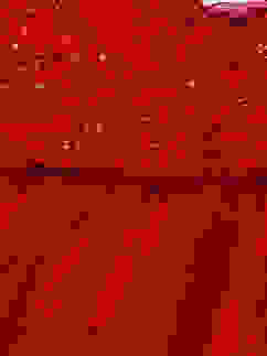 Red Nylon Layered Embroidered Dress image number 1