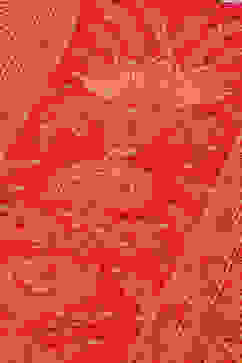 Fuchsia Rayon Straight Printed Kurta image number 5