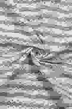 Sky Blue Cotton Hand Block Print Unstitched Suit Set image number 2