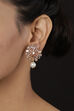 Gold Earrings image number 1