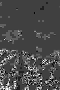 Grey Rayon Flared 2 Piece Set image number 1