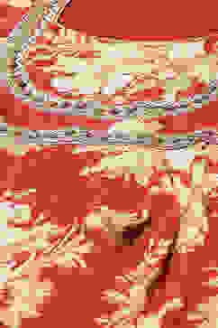 Wine Art Silk Flared Fusion Printed Dress image number 1