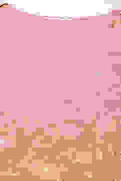 Blush Pink Printed Straight Kurta Regular Pants Suit Set image number 1