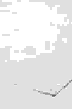 White Nylon Embroidered Sequin Dupatta image number 1