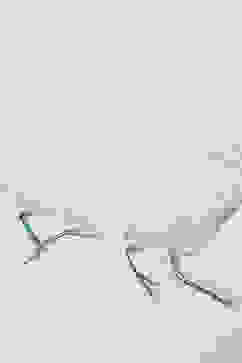 Sea Green Viscose Straight Kurta Pants Suit Set image number 3