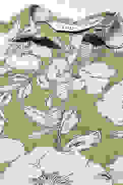 Olive Green LIVA Straight Printed Kurta image number 1