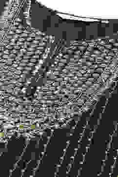 Bottle Green Poly Viscose Straight Printed Kurta image number 1