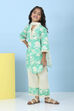 Green Cotton Printed Straight Suit Set image number 6