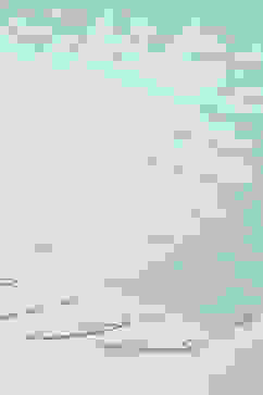 Green Cotton Blend Dupatta image number 2