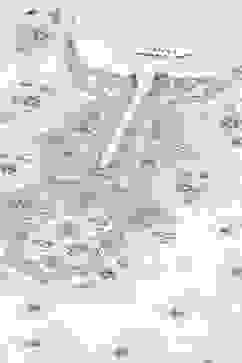 Off White Polyester Straight Suit Set image number 1