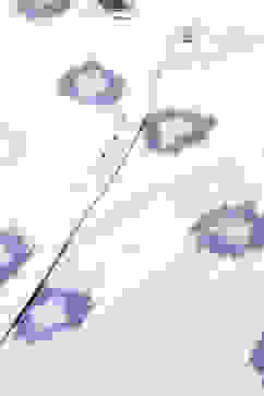 White & Blue Cotton Straight Yarndyed 3 Piece Set image number 1