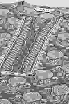 Blue Cotton Straight Printed Kurta image number 1