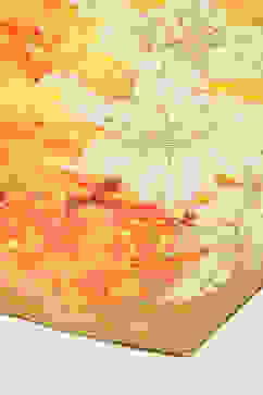 Yellow Cotton A-Line Kurta Palazzo Suit Set image number 3