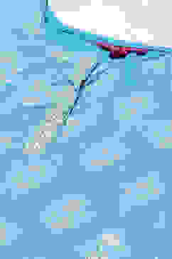 Blue Cotton Straight Printed Kurta Patiala Salwar Suit Set image number 1