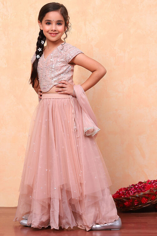 Peach-Toned Poly Chanderi Embellished Straight Lehenga Set image number 5