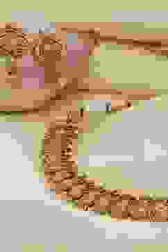 Gold Brass Necklace Set image number 2