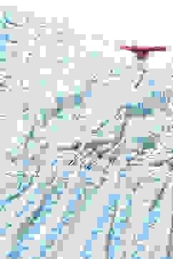 Blue Printed Cotton Jumpsuit With Lace Details image number 1