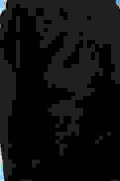 Black Cotton Solid Capri Pant image number 1