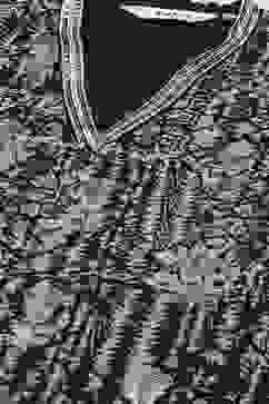 Indigo Cotton Blend Kalidar Printed Kurta Palazzo Suit Set image number 1