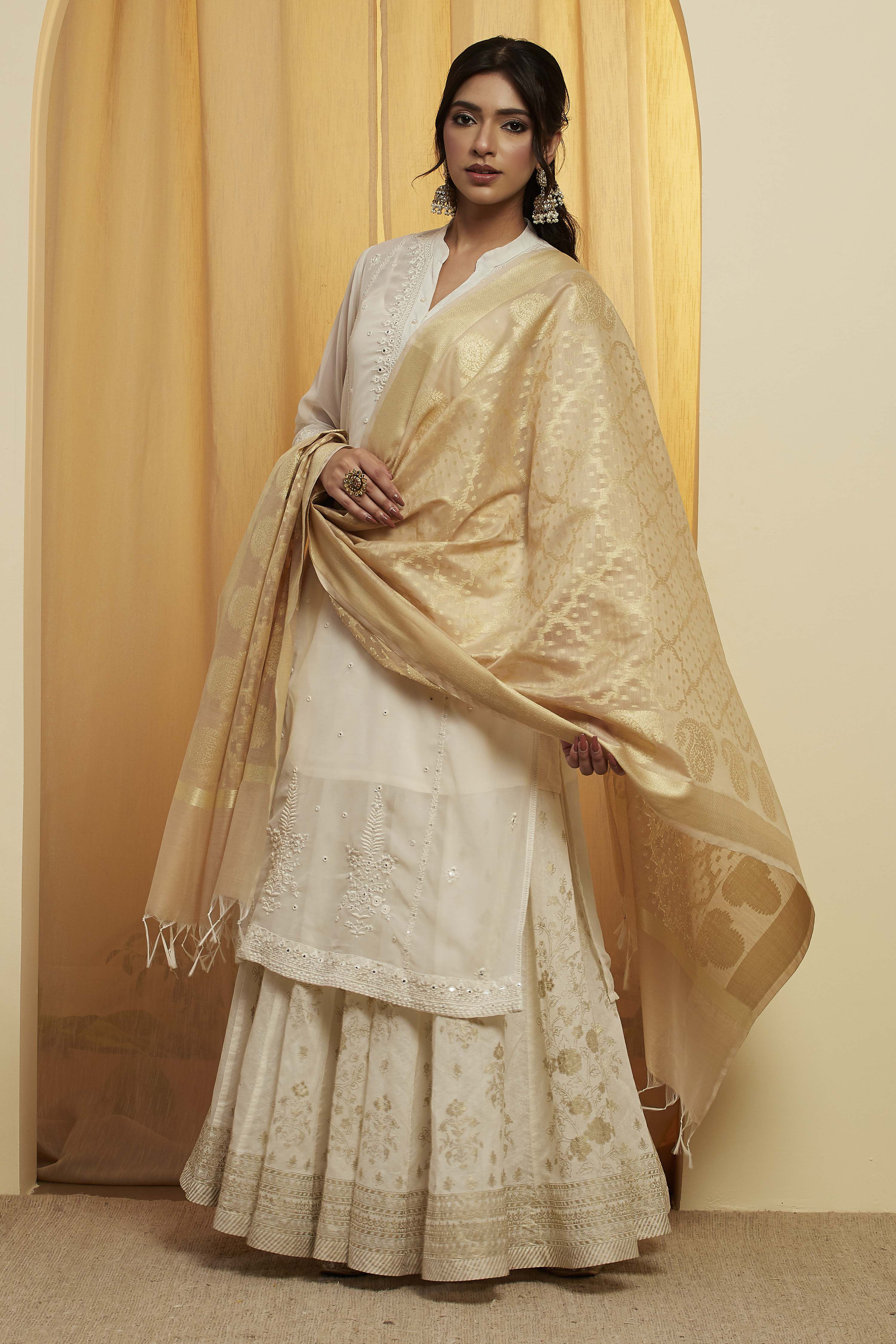 Beige Tasseled Woven Design Dupatta image number 2