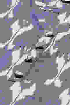 Blue & White Cotton woven 2 Piece Set image number 1