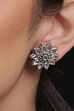 Long Chandelier earrings image number 1