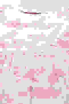 Off White & Peach Cotton Straight Kurta Garara Suit Set image number 1