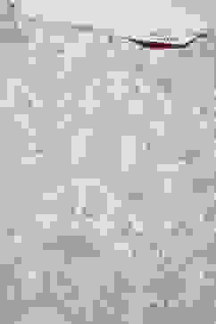 Beige Rayon Straight Printed 2 Piece Set image number 5