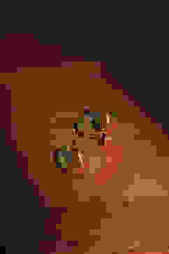 Multicolor Brass Studs image number 2